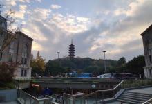 九山公园13
