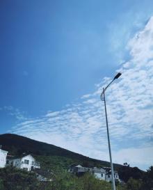 东山镇8