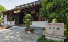 东山镇3