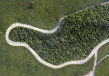 彩虹路3