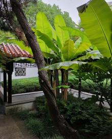 张家港公园11