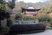 杭州西湖风景名胜区-老龙井9