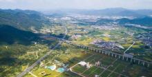 缙云笕川花海10