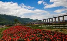 缙云笕川花海7