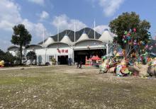 缙云笕川花海15