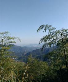 径山20