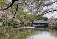 太湖佳绝处11