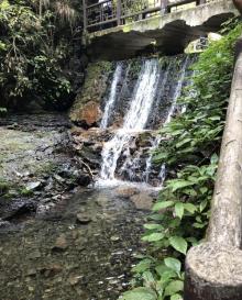 夏霖九天银瀑风景区24