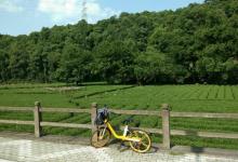 翁家山村2