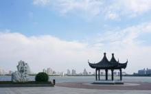 团鸱缇扒4