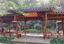 灵峰探梅8