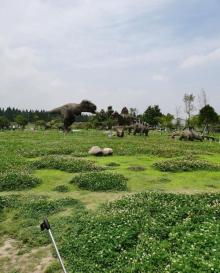 杭州恐龙梦公园26