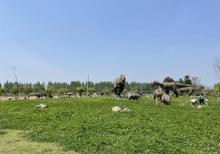 杭州恐龙梦公园14