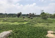 杭州恐龙梦公园29