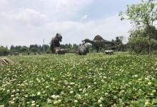 杭州恐龙梦公园28