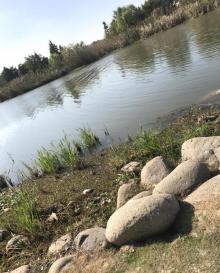 无锡长广溪国家湿地公园21