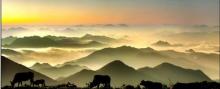 大洋山景区11
