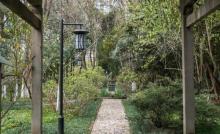 浙江大学(华家池校区)-植物园1