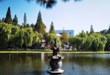 浙江大学(华家池校区)-植物园8