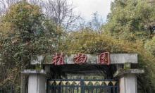 浙江大学(华家池校区)-植物园2