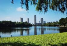 浙江大学(华家池校区)-植物园12