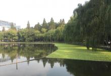 浙江大学(华家池校区)-植物园5
