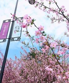 东阳木雕小镇6