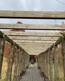 青西郊野公园30