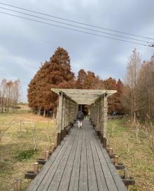 青西郊野公园26