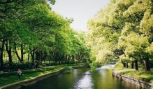 青西郊野公园13
