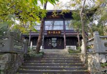 龙井茶田11