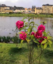 花溪风景区27