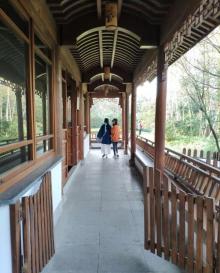 杭州花圃26