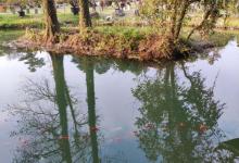 杭州花圃27