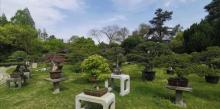 杭州花圃23