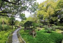 杭州花圃20