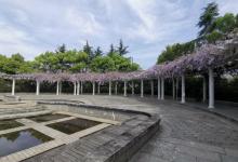 杭州花圃15