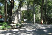 龙井八景13
