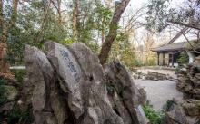 龙井八景2