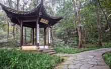 龙井八景5