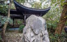 龙井八景3