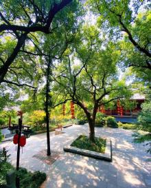 吴山天风4