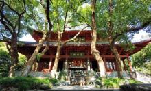 吴山天风25