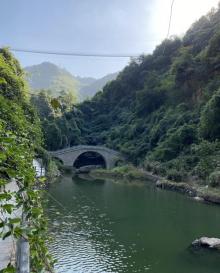 香榧森林公园5