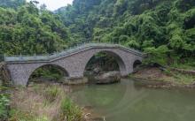 香榧森林公园3