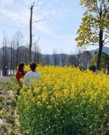 杭州湘湖旅游度假区13