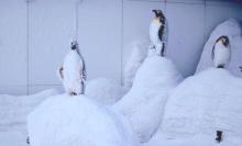 雪极星城市滑雪中心14