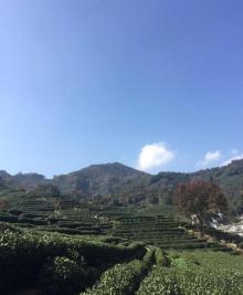 十里琅12