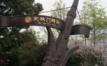 运河游船12