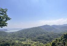 玉皇山景区10